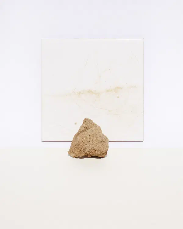 Mediterranean Archive: Visual Perceptions and the Cultural Construction of the Mediterranean