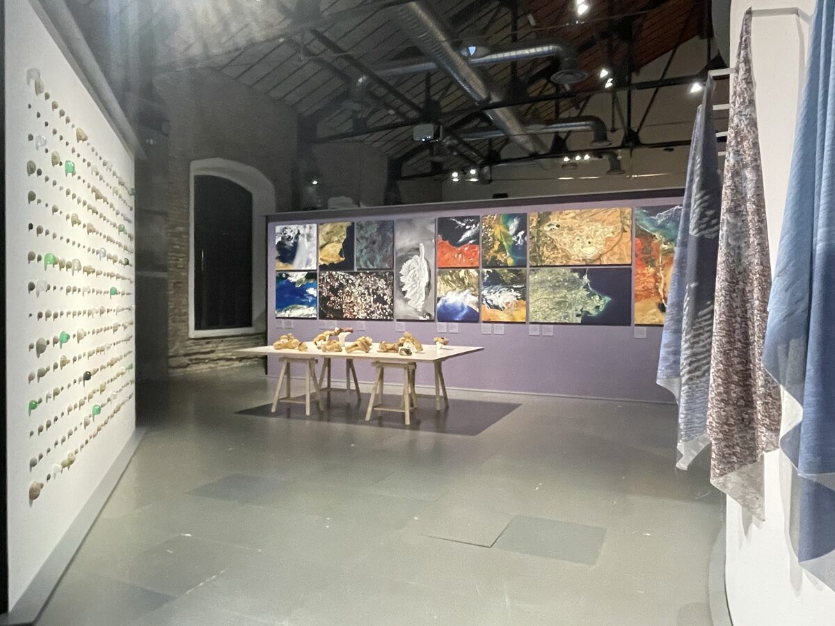 POMERIGGIO: ARTE CONTEMPORANEA E STUDI MEDITERRANEI